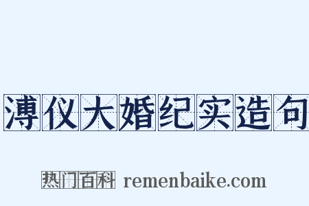 溥仪大婚纪实造句是什么意思的图片